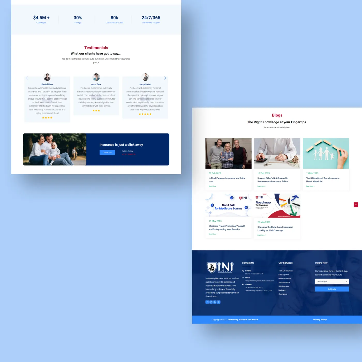 INI Website screenshot 2